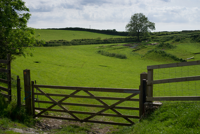 Ландшафты полуострова Gower