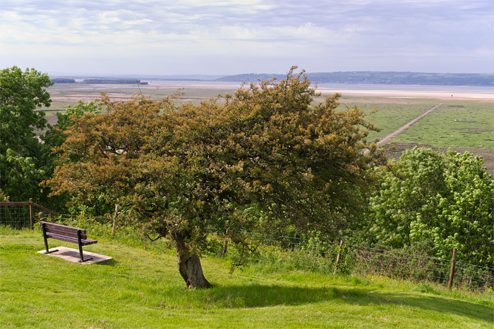 Ландшафты полуострова Gower