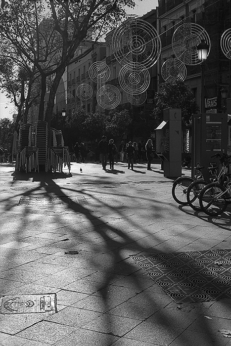 Tree and its shadow Мадрид, декабрь 2014